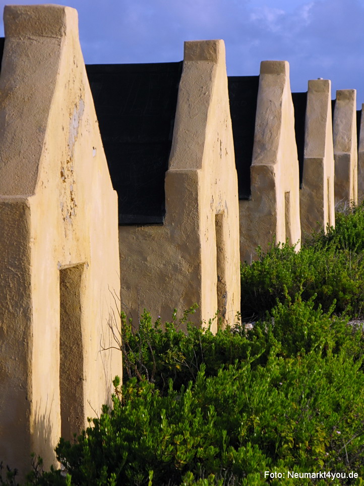 0005 Insel Bonaire 2009